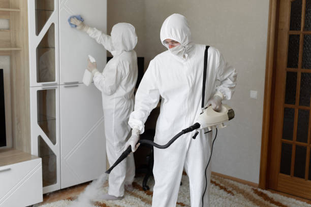 Best Black Mold Remediation in East Cleveland, OH