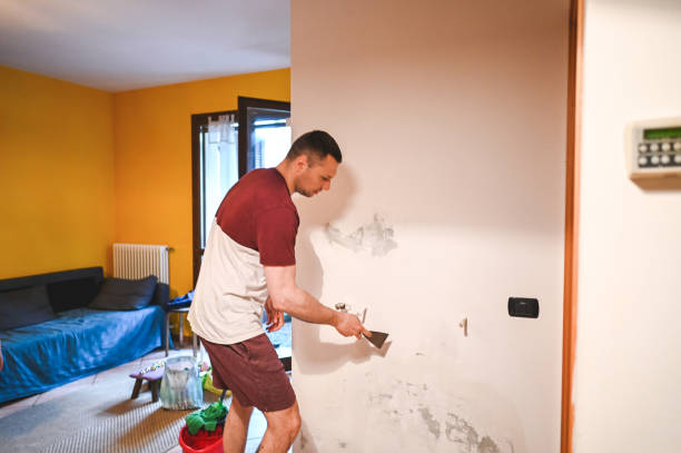 Best Crawl Space Mold Remediation in East Cleveland, OH